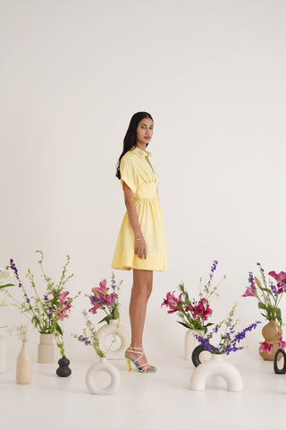 Valerie Lemon Cotton Dress