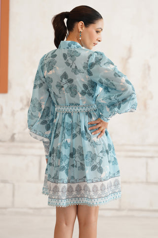 Delmare Shirt Dress