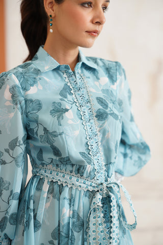 Delmare Shirt Dress