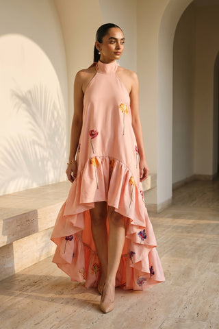 Amaryllis High Low Embroidered Dress