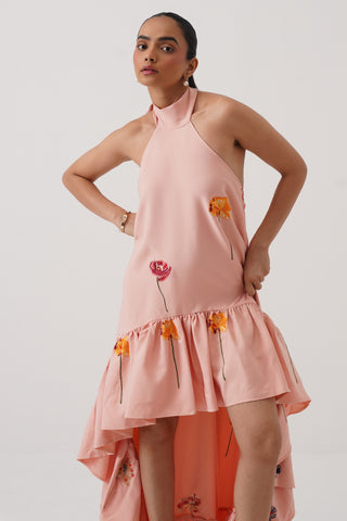 Amaryllis High Low Embroidered Dress