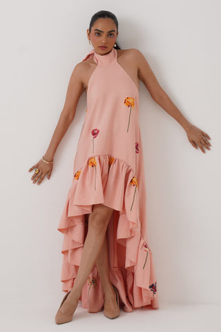 Amaryllis High Low Embroidered Dress