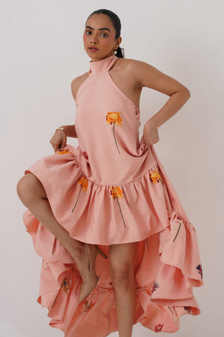 Amaryllis High Low Embroidered Dress